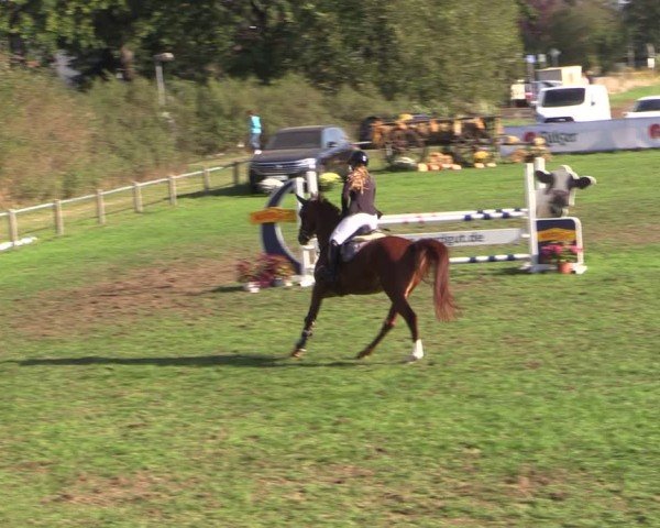 Reitturnier Crivitz 2024