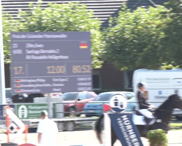 Reitturnier Langenfeld - Gut Langfort 2024