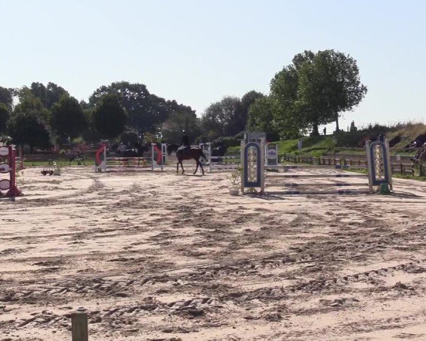 Reitturnier Breiholz "Am Moltkestein" 2024