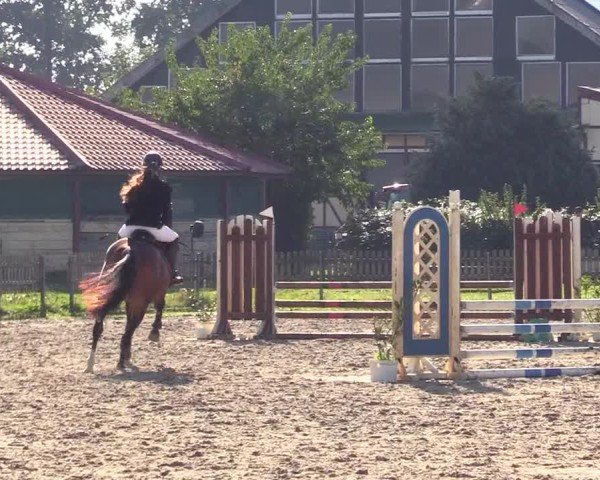 Reitturnier Breiholz "Am Moltkestein" 2024