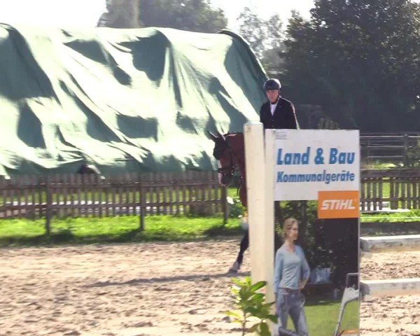 Reitturnier Breiholz "Am Moltkestein" 2024