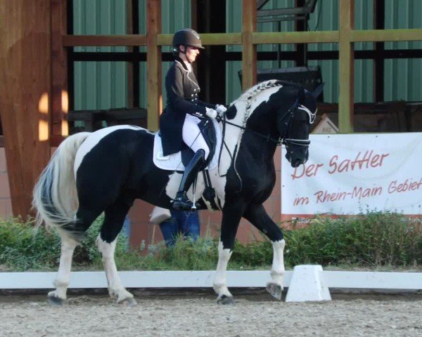 Reitturnier Rodgau-Weiskirchen 2024