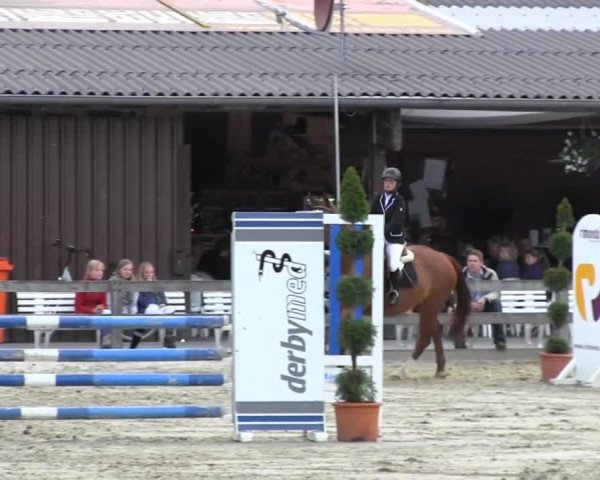 Reit- und Springturnier Münster-Roxel 2013