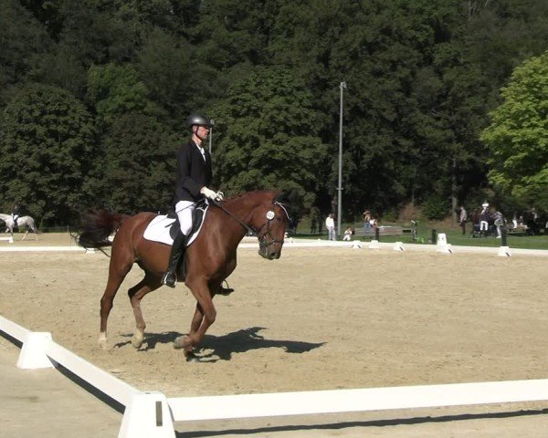 Reitturnier Seelitz 2024