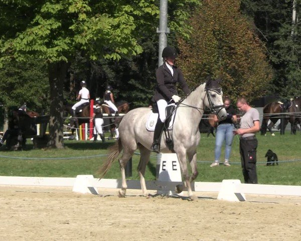 Reitturnier Seelitz 2024