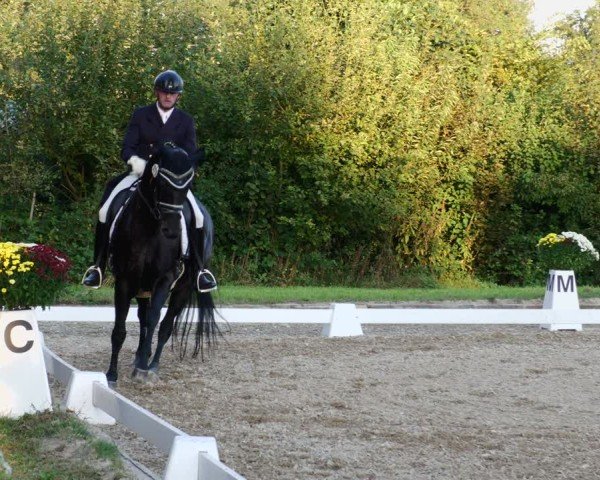 Reitturnier Rodgau-Weiskirchen 2024