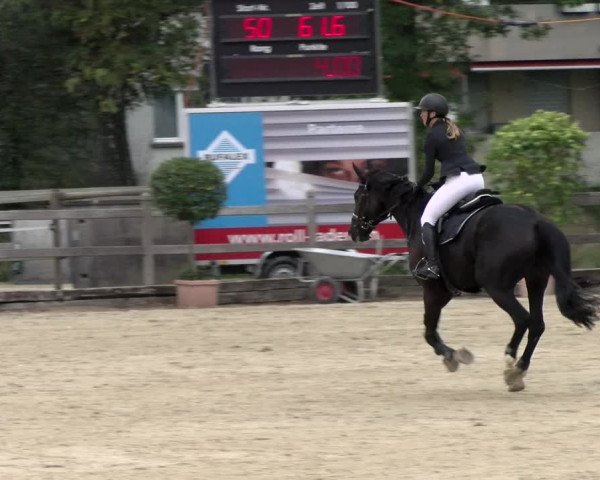 Pferdesporttage Neuendorf SO 2021