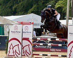 jumper Hulapalou (German Sport Horse, 2016, from HICKSTEAD WHITE)