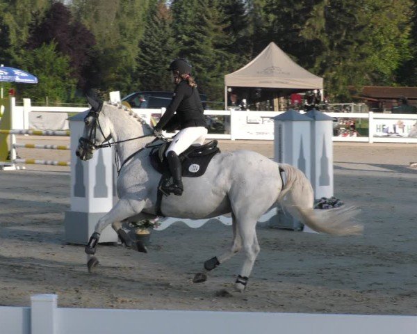 Reitturnier Memmingen 2024