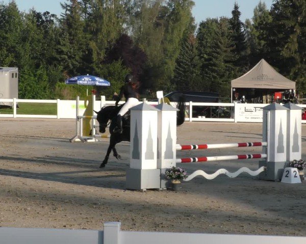 Reitturnier Memmingen 2024