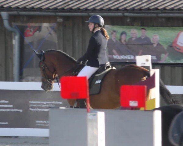 Reitturnier Memmingen 2024