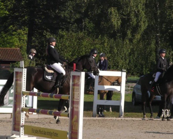 Reitturnier Memmingen 2024