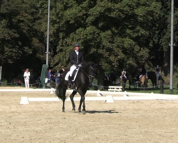 Reitturnier Seelitz 2024