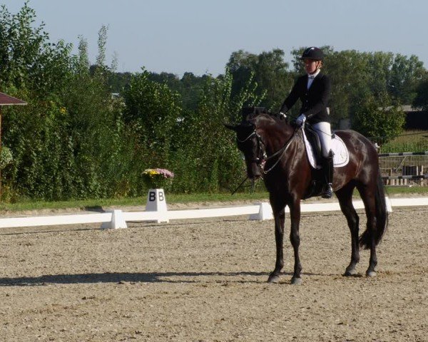 Reitturnier Rodgau-Weiskirchen 2024