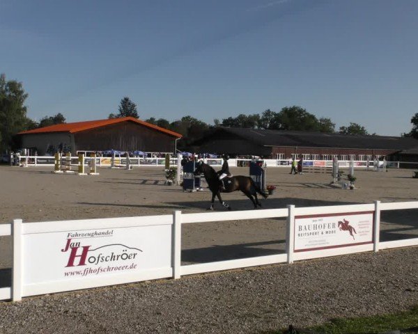 Reitturnier Memmingen 2024
