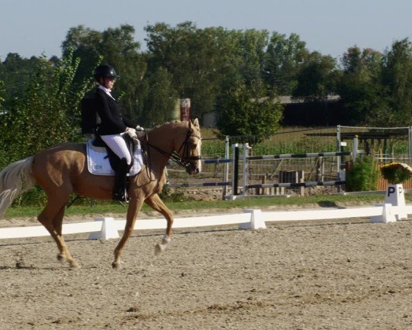 Reitturnier Rodgau-Weiskirchen 2024