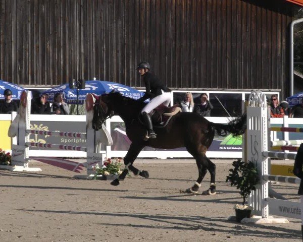 Reitturnier Memmingen 2024