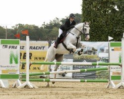 jumper Santino 181 (Westphalian, 2018, from Special Effect)