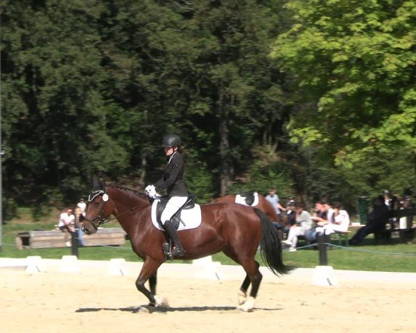 Reitturnier Seelitz 2024