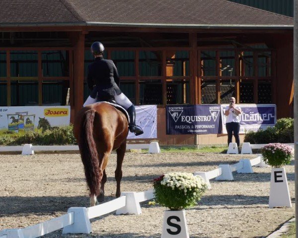 Reitturnier Rodgau-Weiskirchen 2024