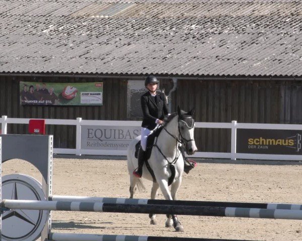 Reitturnier Memmingen 2024