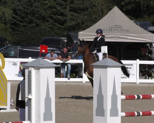 Reitturnier Memmingen 2024