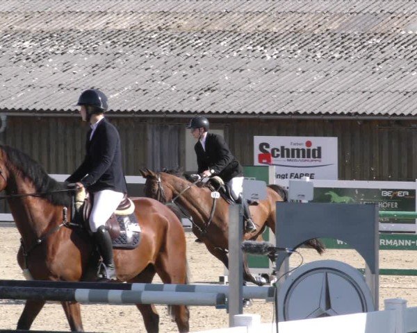 Reitturnier Memmingen 2024