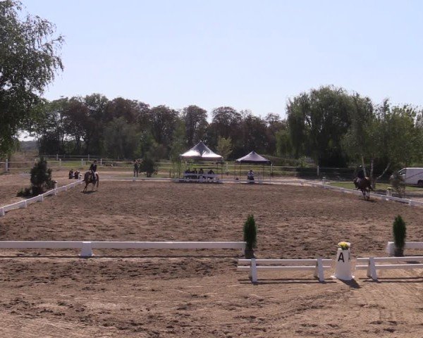 Reitturnier Schenkenhorst 2024