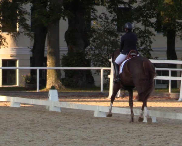 Reitturnier Stadl Paura 2024
