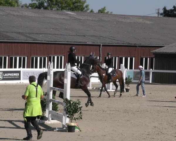 Reitturnier Memmingen 2024
