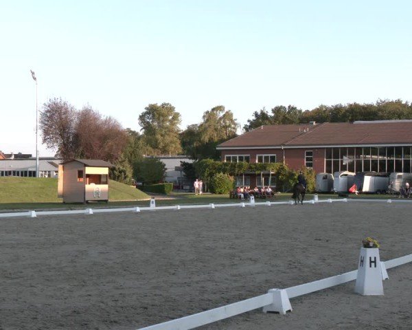 Reitturnier Langenfeld - Gut Langfort 2024