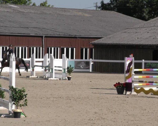 Reitturnier Memmingen 2024
