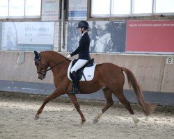 jumper Mon Dieu 23 (German Riding Pony, 2015, from Mylord Carwyn)