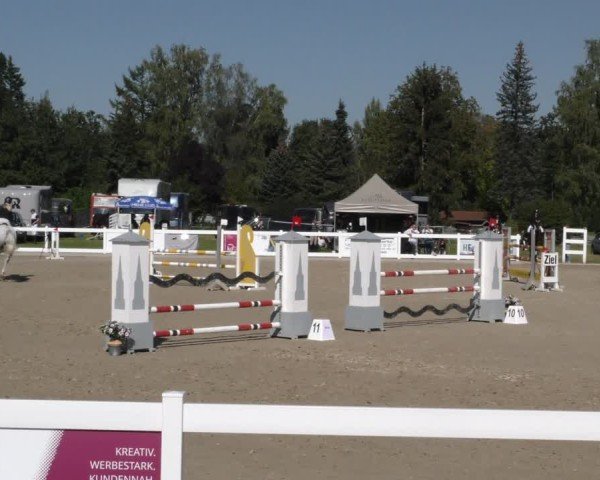 Reitturnier Memmingen 2024
