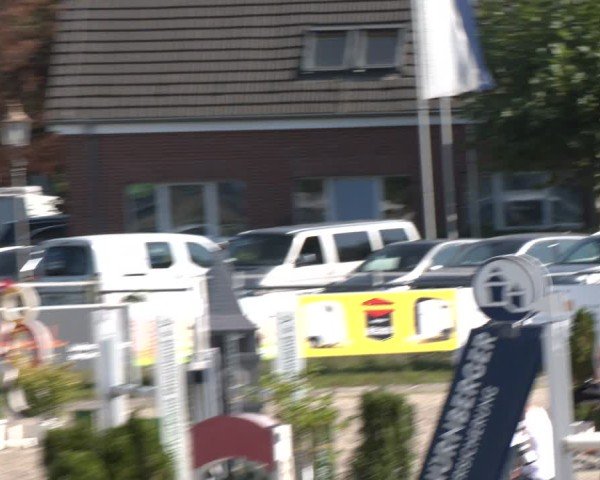 Reitturnier Langenfeld - Gut Langfort 2024