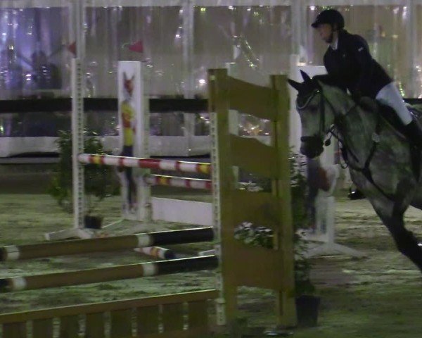 Reitturnier Buchenhof-Ibbenbüren 2024