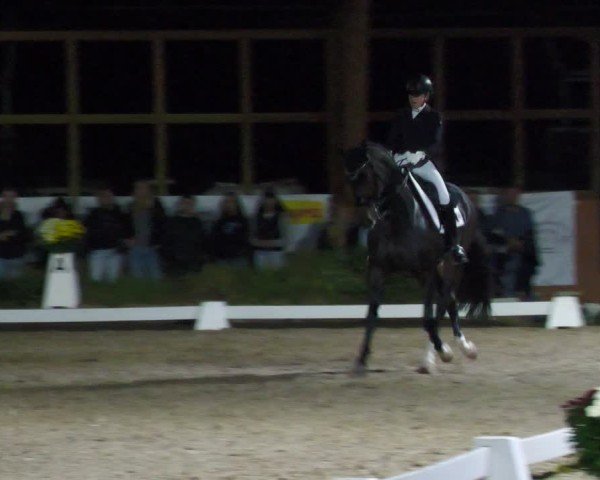 Reitturnier Rodgau-Weiskirchen 2024