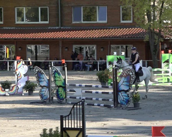 Reitturnier Richelsdorf 2024