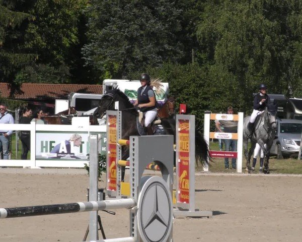 Reitturnier Memmingen 2024