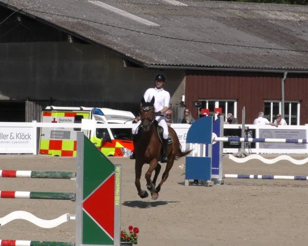 Reitturnier Memmingen 2024