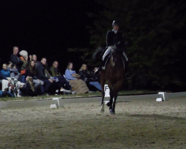 Reitturnier Rodgau-Weiskirchen 2024