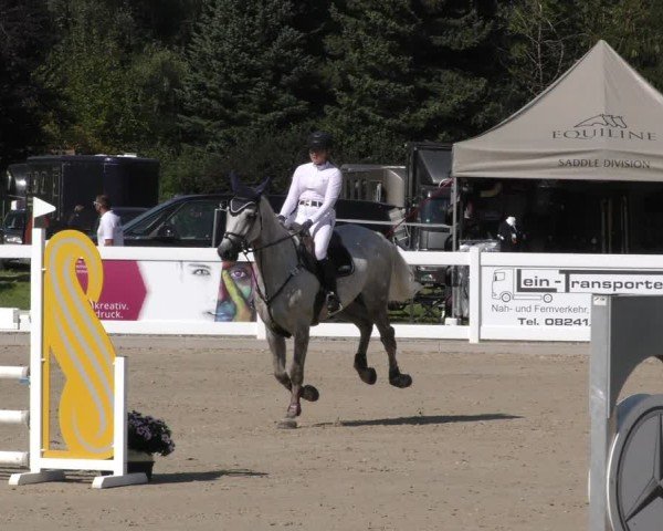 Reitturnier Memmingen 2024