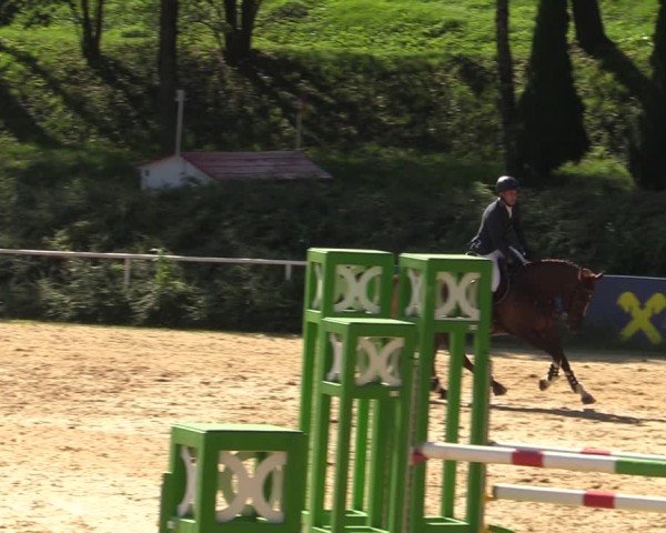 Reitturnier Stadl Paura 2024
