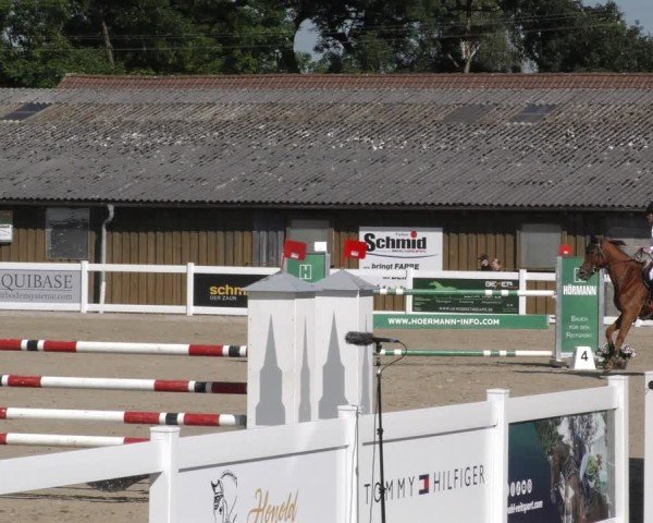 Reitturnier Memmingen 2024