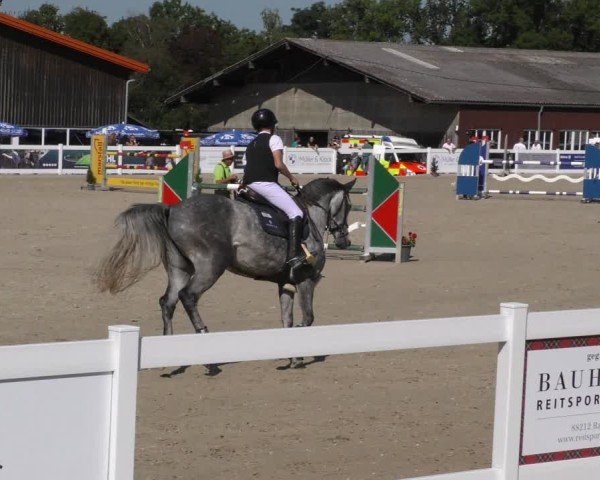 Reitturnier Memmingen 2024