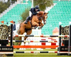 horse SS Oceania (KWPN (Royal Dutch Sporthorse), 2019, from Aganix du Seigneur)
