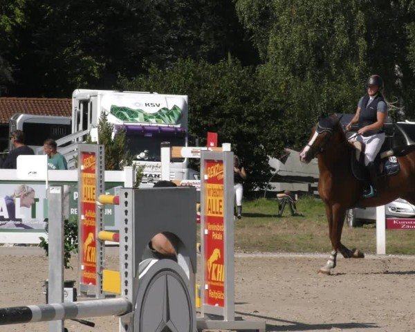 Reitturnier Memmingen 2024
