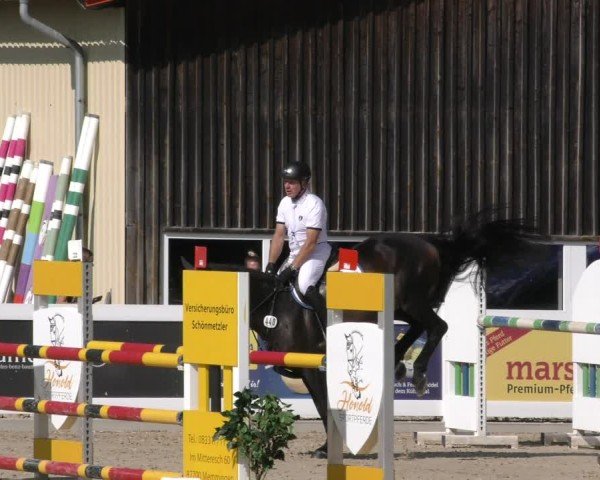 Reitturnier Memmingen 2024