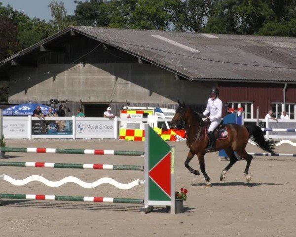 Reitturnier Memmingen 2024
