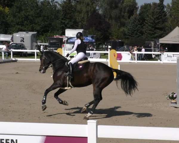 Reitturnier Memmingen 2024